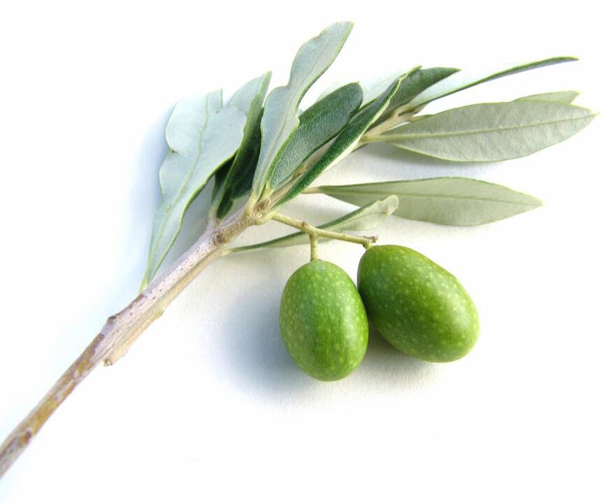 Εκχύλισμα ελαιολάδου στο Diarform Plus